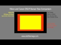 Nikon DSLR Sensor Sizes and Canon DSLR Sensor Sizes Compared