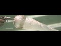 Slow Motion Underwater Guns: Shark ammo -- RatedRR