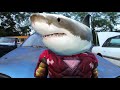 Slow Motion Underwater Guns: Shark ammo -- RatedRR