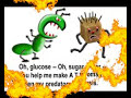 Glucose Song