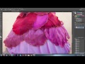 Adobe Photoshop Tutorials CC Creative Cloud How to retouch fashion photography natural back lighting