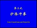 Shaolin 7 Stars Kong fu (qi xing quan)