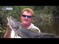 BIGGEST PIRANHA - Amazon River Monsters