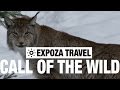 Sweden -  Call Of The Wild Travel Video Guide