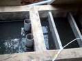 Bangalore-Treating kitchen waste water for reuse