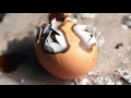 Burning Stuff With 2000ºF Solar Power!!