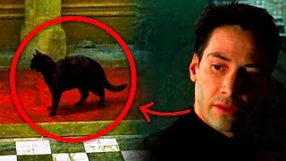 ¿Queres saber que son los Deja Vu? Increíble Explicacion