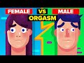 Female Orgasm vs Male Orgasm - How Do They Compare? -  The Infographics Show 2019