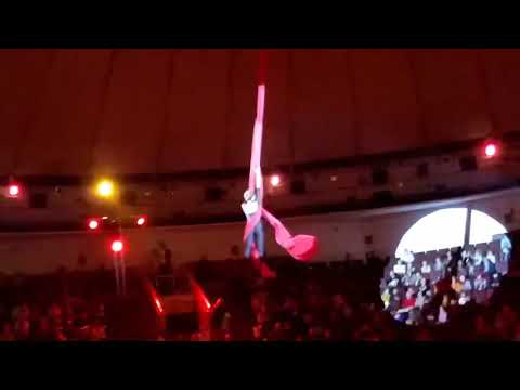 В Сети появилось видео падения воздушной гимнастки в цирке Новокузнецка