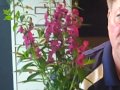 .In the Garden with Ron Wilson May 25th 2013