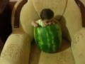 Baby Eating Watermelon | Cute Baby Eats A Melon | Funny Baby Video