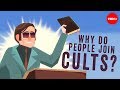Why do people join cults? - Janja Lalich - 2017