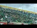 OMONOIA - anomales kotes