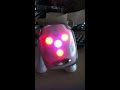 iDog Sings Party Rock Anthem-LMAFO