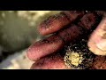 GOLD ON THE BEACH.6 (We show you exactly where the heavier gold items can be found)
