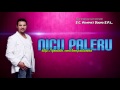NICU PALERU - Danseaza si rupe-te, Manele de Colectie