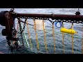 Underwater Observations of Roller Ball Ground Gear on a Beam Trawl