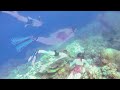 Diving Marsa Alam 2013