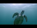 Diving Marsa Alam 2013