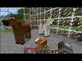 Minecraft : Mo Creatures : How to Breed Horses, How to Make a Saddle, and How to Tame a Horse