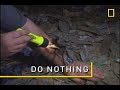 How to Survive a Giant Tarantula Encounter