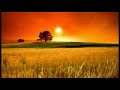 Boeremusiek - Wipneusie