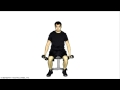 Seated Alternating Dumbbell Scaption