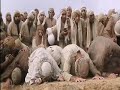 Funniest bit of 'life of brian'