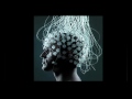 TEDxSydney - David Chalmers - The Extended Mind