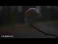 Bubble bursting at 18,000fps - The Slow Mo Guys
