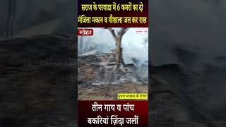 Himachal: आ.ग लगने से 6 कमरों का दो मंज़िला मकान व गौशाला जल कर राख