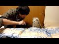 Jun and his Cat 夫とネコ