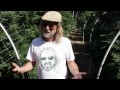Jorge Cervantes: Humboldt Local 2011 Medical Marijuana / Cannabis (Part 2)
