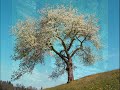 Vivaldi - Spring
