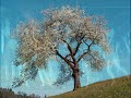 Vivaldi - Spring