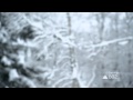 Video: Garmin Forerunner 910XT: Wintertraining - Langlauf mit Joar Whle 2012