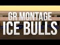 Ice Bulls MONTAGE