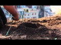 Sciacchetrail, Part 1 - a film by Christine Godfrey