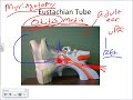 Anatomy of the Ear and Physiology of Hearing (basics).wmv