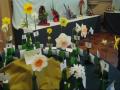 Daffodil, Camellia & Floral Art Show 2009 A