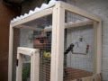 How to make your own bird cage or mini aviary