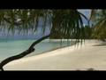 French Polynesia, Moorea, Bora Bora Honeymoon