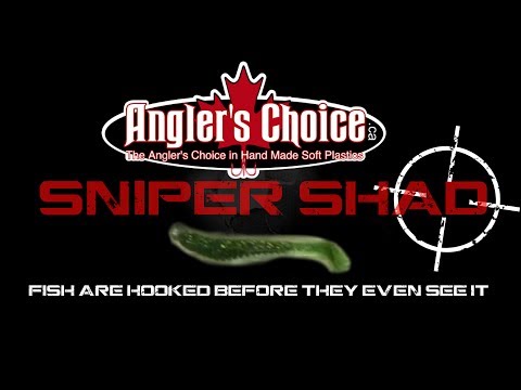 sniper shad by anglers choice turning heads once again