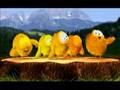 Funny Youtube Videos List | Funny Video Compilation: Cutie Chick 