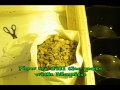 building a legal medical marijuana grow room part 02 - http://www.limbo-co.com