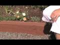 Flower & Plant Garden Care : How to Edge a Flower Bed With Wood