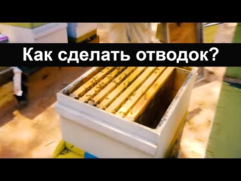 Как сделать улей ютуб Как сделать улей ютуб