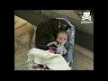 Baby and cat cuddle in crib