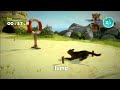 Kinect: Kinectimals Video Review