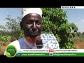 WARKA SOMALI CHANNEL Buuhoodle Qaarkamid ah Qurba Jooga Gobolka Cayn oo Booqday Beeraha 20 11 2012